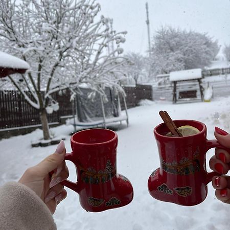 Vila Georgeta Zărneşti Kültér fotó