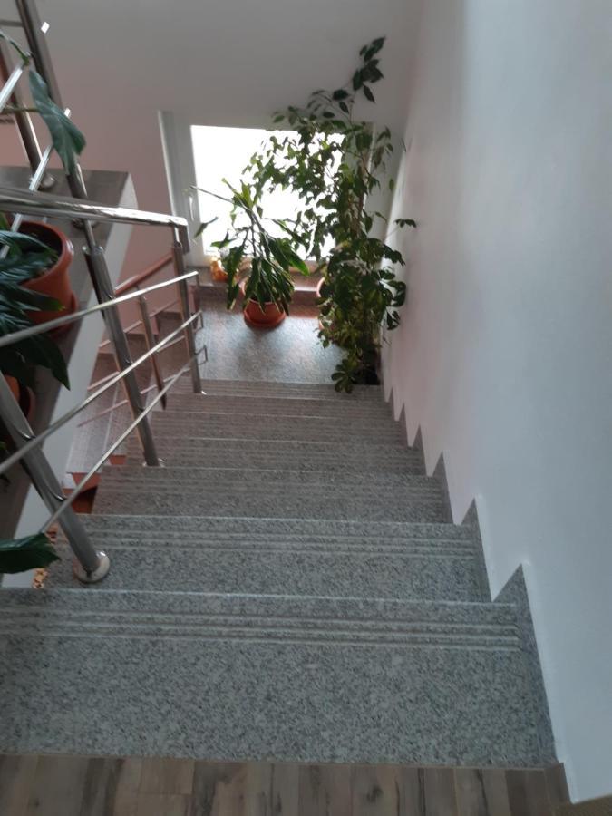 Vila Georgeta Zărneşti Kültér fotó