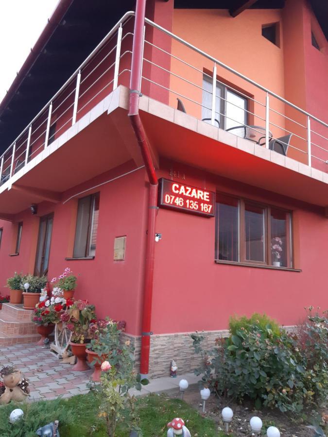Vila Georgeta Zărneşti Kültér fotó