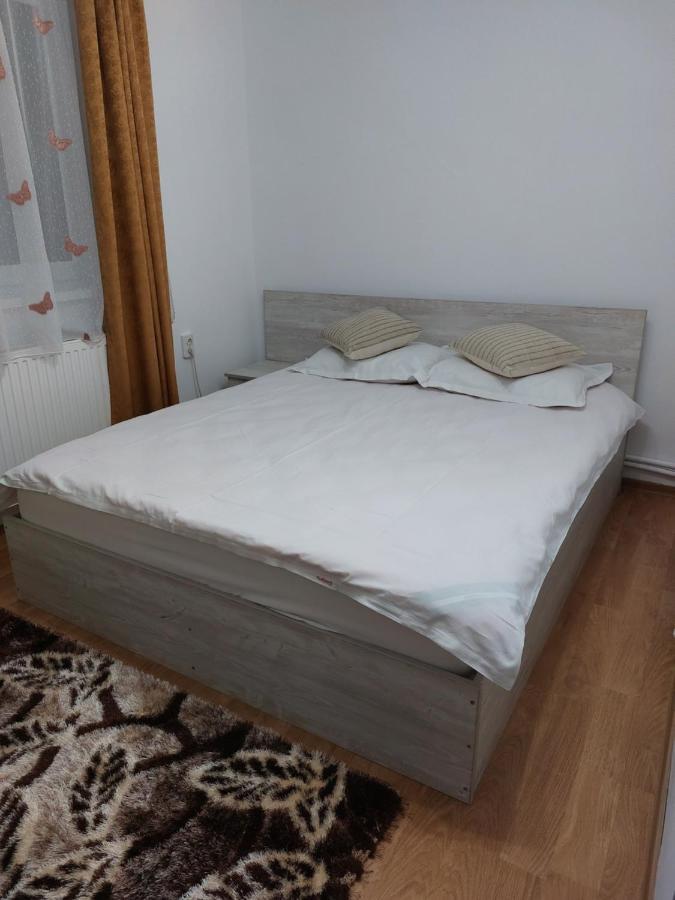 Vila Georgeta Zărneşti Kültér fotó